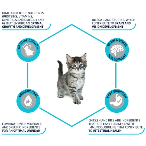 Affinity Advance Kitten Huhn Und Reis 7 Affinity Advance Kitten Huhn Und Reis – Bild 5