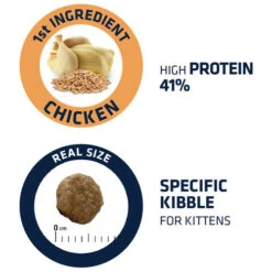 Affinity Advance Kitten Huhn Und Reis 10 Affinity Advance Kitten Huhn Und Reis -Haustierprodukte affinity advance kitten kip en rijst kat 178234 0500 none