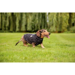 Beeztees Hundepullover Celia -Haustierprodukte beeztees hondentrui celia 219140 0500 none