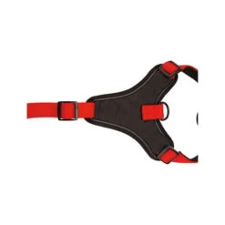 Beeztees Parinca Premium Y-Geschirr -Haustierprodukte beeztees parinca premium y tuig 199589 0500 none