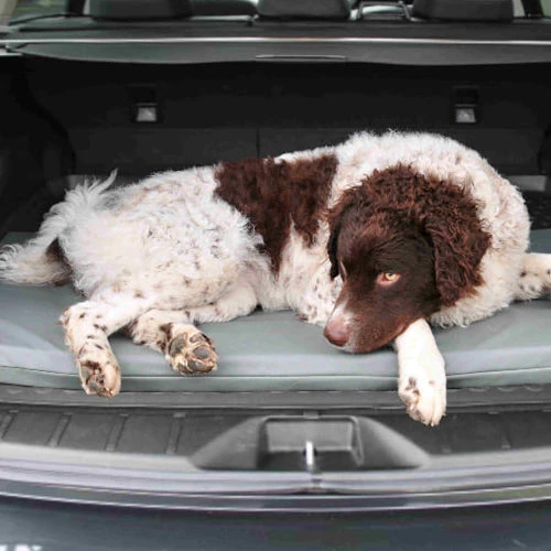 Bia Original Matratze Grau 4 Bia Original Matratze Grau – Bild 2