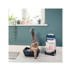 Biokat's Diamond Care - Katzenstreu -Haustierprodukte biokats diamond care 157370 0500 none