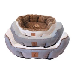 Boony Est.1941 Körbchen