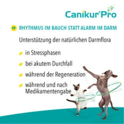 Canikur® Pro Diät-Ergänzungsfuttermittel Für Hunde 9 Canikur® Pro Diät-Ergänzungsfuttermittel Für Hunde -Haustierprodukte canikur pro 213692 0500 none