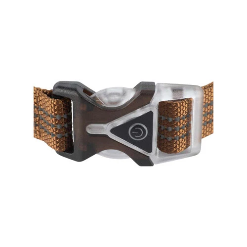 Carhartt Lighted Dog Collar 5 Carhartt Lighted Dog Collar – Bild 3