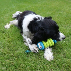 Coockoo Larry -Haustierprodukte coockoo larry 216712 0500 none