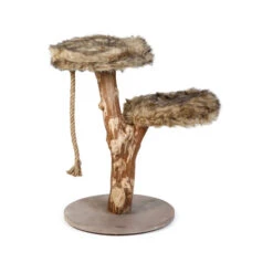 Designed By Lotte Katzenbaum Aviva