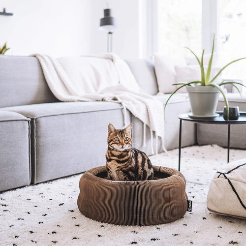 District 70 Maze 4 District 70 Maze – Bild 2