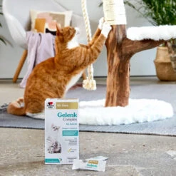 Doppelherz Gelenk Complex Für Katzen -Haustierprodukte doppelherz gelenk complex fuer katzen 195053 0500 none