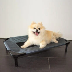 Duvo+ Hundeliege Relax -Haustierprodukte duvo hondenstretcher relax 199796 0500 none