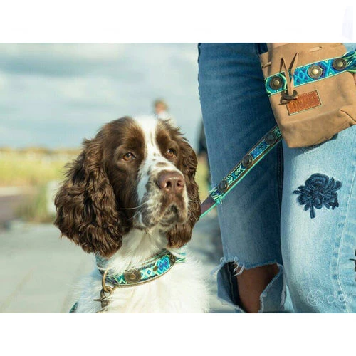 DWAM Hundeleine Boho Juan 4 DWAM Hundeleine Boho Juan – Bild 2