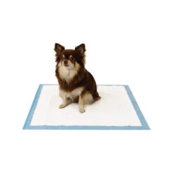 Easypets Trainingpads 9 Easypets Trainingpads -Haustierprodukte easypets trainingspads 184186 0500 none