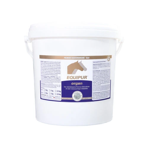 Equipur Organ 3 Equipur Organ