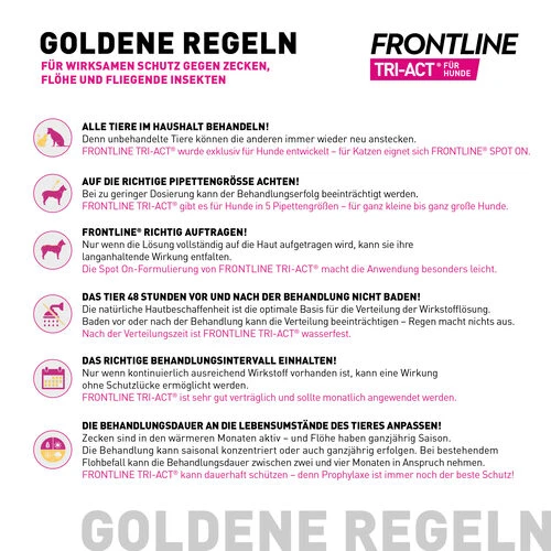 Frontline Tri-Act Gegen Zecken, Flöhe Und Fliegende Insekten Für Hunde – Bild 15