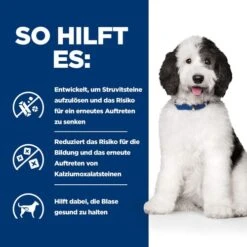 Hill's C/d Multicare Ragout - Prescription Diet - Canine -Haustierprodukte hills cd multicare stoofpotje prescription diet canine 211406 0500 none