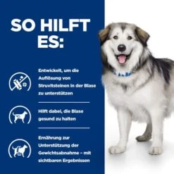 Hill's Prescription Diet - Canine - C/d Multicare + Metabolic 12 Hill's Prescription Diet - Canine - C/d Multicare + Metabolic -Haustierprodukte hills prescription diet canine cd multicare metabolic 212645 0500 none