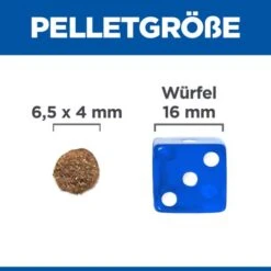 Hill's Science Plan Puppy Perfect Digestion Small & Mini 13 Hill's Science Plan Puppy Perfect Digestion Small & Mini -Haustierprodukte hills science plan puppy perfect digestion small en mini hondenvoer 213156 0500 none