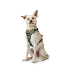 Hunter Geschirr Divo Dunkelblau/Grau 13 Hunter Geschirr Divo Dunkelblau/Grau -Haustierprodukte hunter harnas divo donkerblauwgrijs 166891 0500 none