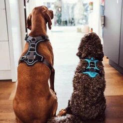 Hunter Geschirr Divo Dunkelblau/Grau 15 Hunter Geschirr Divo Dunkelblau/Grau -Haustierprodukte hunter harnas divo donkerblauwgrijs 166906 0500 none