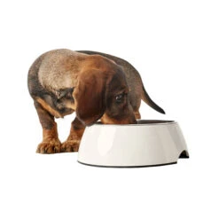 Hunter Melamin Napf - Weiß -Haustierprodukte hunter melamine voer en drinkbak wit 169567 0500 none