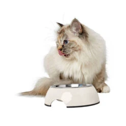 Hunter Melamin Napf - Weiß -Haustierprodukte hunter melamine voer en drinkbak wit 169570 0500 none