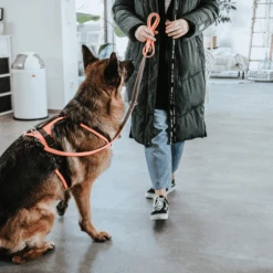 Hunter Sicherheitsgeschirr Maldon -Haustierprodukte hunter veiligheidsharnas maldon 221557 0500 none