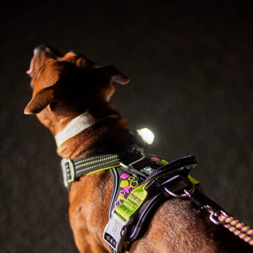 Hurtta - Geschirr Weekend Warrior - Neon Licorice – Bild 4