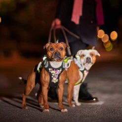 Hurtta - Geschirr Weekend Warrior - Neon Licorice -Haustierprodukte hurtta weekend warrior harnas neon licorice 216598 0500 none