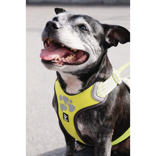 Hurtta Weekend Warrior Geschirr 16 Hurtta Weekend Warrior Geschirr – Bild 14