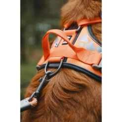 Hurtta Weekend Warrior Geschirr 25 Hurtta Weekend Warrior Geschirr -Haustierprodukte hurtta weekend warrior harness 189096 0500 none