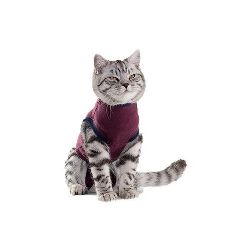 Jacketz Medical Body Suit Für Katzen 5 Jacketz Medical Body Suit Für Katzen – Bild 3