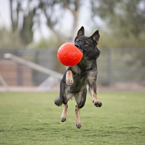 Jolly Soccer Ball 5 Jolly Soccer Ball – Bild 3