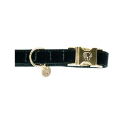 Kentucky Dogwear Corduroy Hundehalsband 16 Kentucky Dogwear Corduroy Hundehalsband -Haustierprodukte kentucky dogwear corduroy hondenhalsband 219195 0500 none