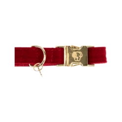 Kentucky Dogwear Corduroy Hundehalsband 15 Kentucky Dogwear Corduroy Hundehalsband -Haustierprodukte kentucky dogwear corduroy hondenhalsband 219199 0500 none