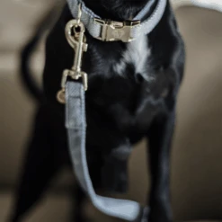 Kentucky Dogwear Hundeleine Wool -Haustierprodukte kentucky dogwear hondenlijn wool 219689 0500 none