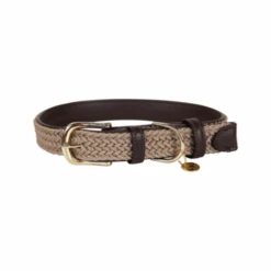 Kentucky Dogwear Nylon Hundehalsband -Haustierprodukte kentucky dogwear nylon hondenhalsband 219176 0500 none