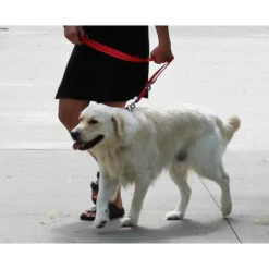 KONG Adjustable Leash -Haustierprodukte kong adjustable leash zwart 176941 0500 none