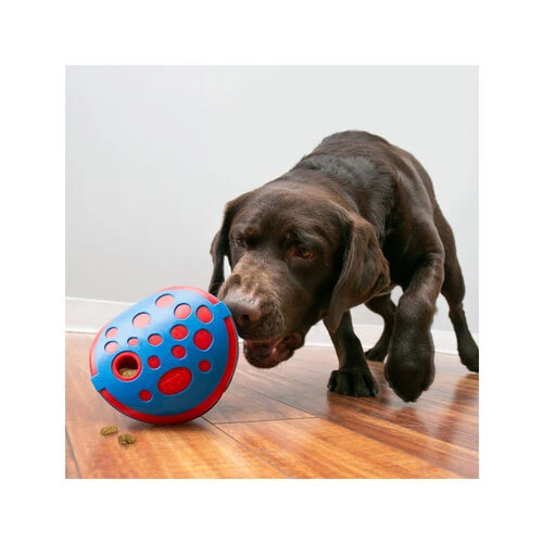 Kong Rewards Wally 4 Kong Rewards Wally – Bild 2