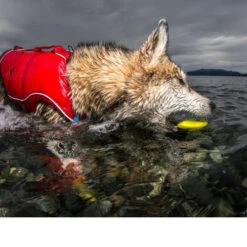 Kurgo Skipping Stones -Haustierprodukte kurgo skipping stones 99608 0500 none