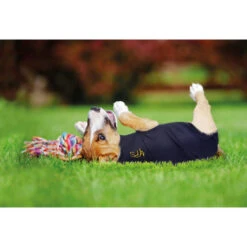 Medical Pet Shirt Hund 17 Medical Pet Shirt Hund -Haustierprodukte medical pet shirt hond 149981 0500 none