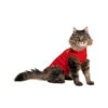 Medical Pet Shirt Katze -Haustierprodukte medical pet shirt kat 167407 0500 none