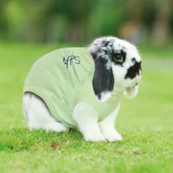 Medical Pet Shirt Kaninchen 9 Medical Pet Shirt Kaninchen -Haustierprodukte medical pet shirt konijn 149891 0500 none