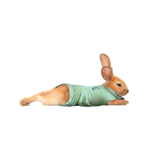 Medical Pet Shirt Kaninchen 4 Medical Pet Shirt Kaninchen – Bild 2