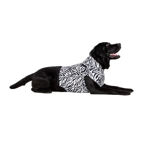 Medical Pet Top Shirt Zebra 4 Medical Pet Top Shirt Zebra – Bild 2
