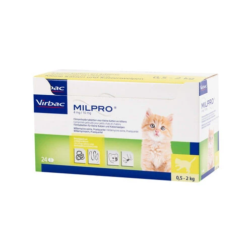 Milpro Katze 4 Milpro Katze – Bild 2