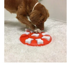 Nina Ottosson Dog Smart 14 Nina Ottosson Dog Smart -Haustierprodukte nina ottosson dog smart 96035 0500 none