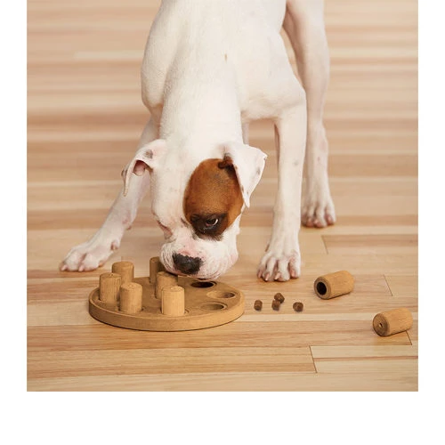 Nina Ottosson Dog Smart 9 Nina Ottosson Dog Smart – Bild 7