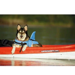 Nobby Hundeschwimmweste Sharki -Haustierprodukte nobby sharki hondenzwemvest 221666 0500 none