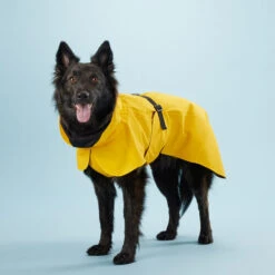 PAIKKA Visibility Raincoat Lite Yellow -Haustierprodukte paikka visibility raincoat lite yellow 217727 0500 none