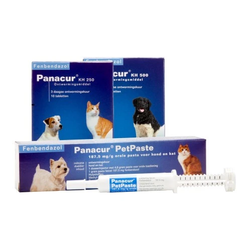Panacur Hund Und Katze 3 Panacur Hund Und Katze
